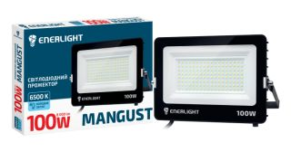 Прожектор ENERLIGHT MANGUST 100ВТ 6500K